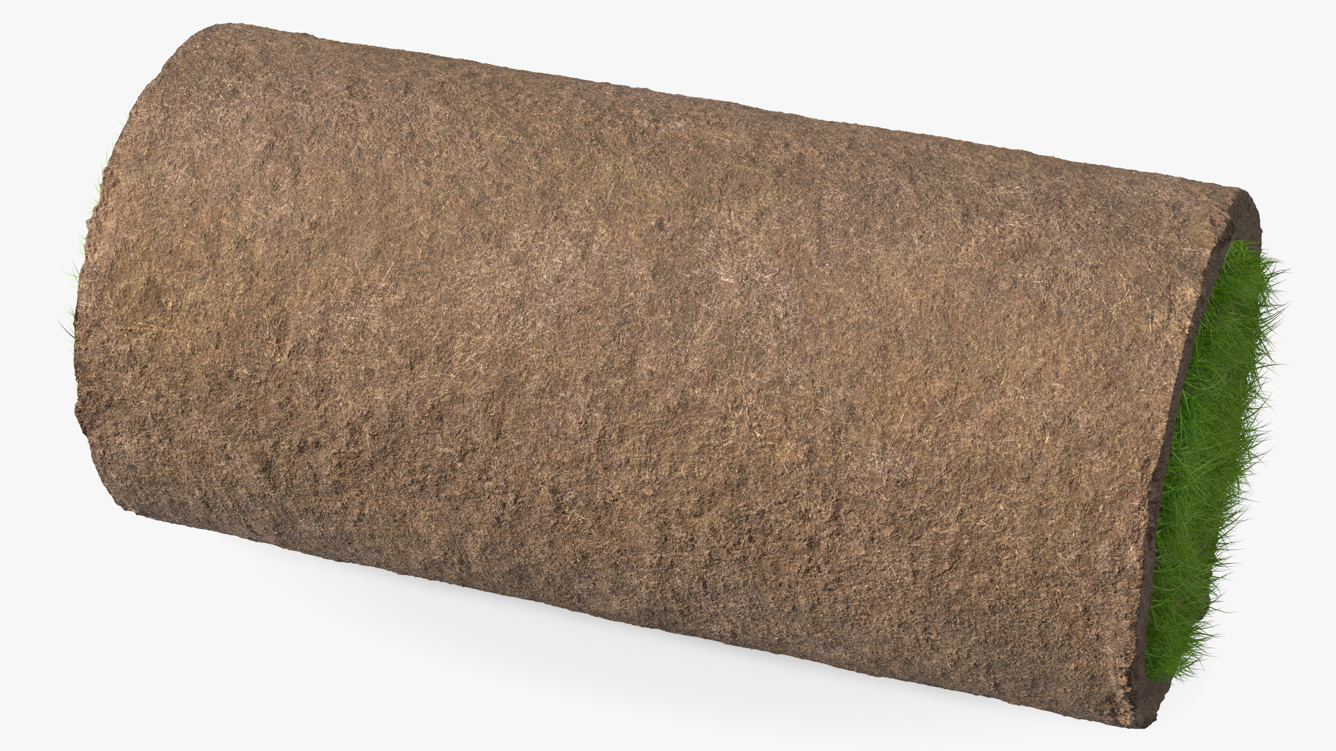 3D model Lawn Turf Roll Folded fur
