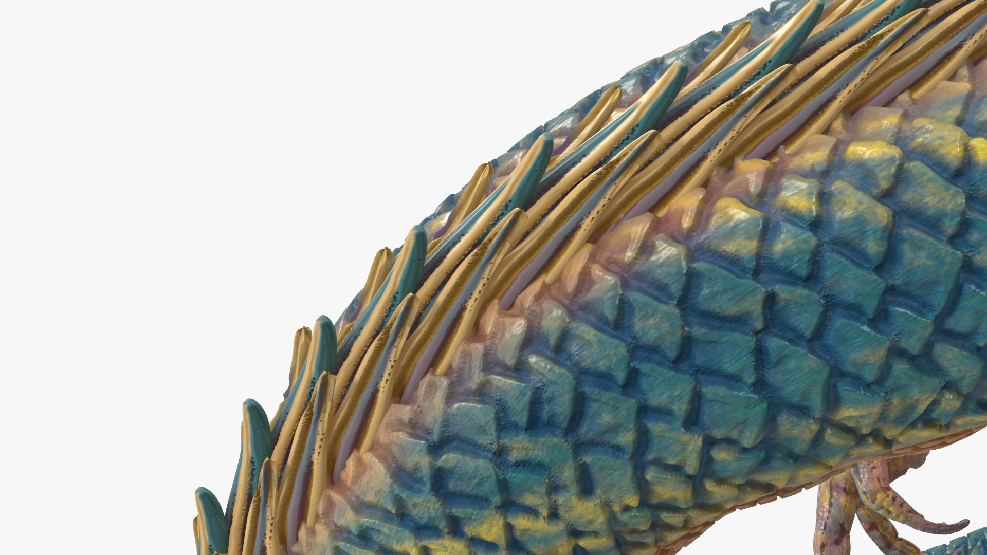 3D Chinese Fantasy Dragon Blue Angry model