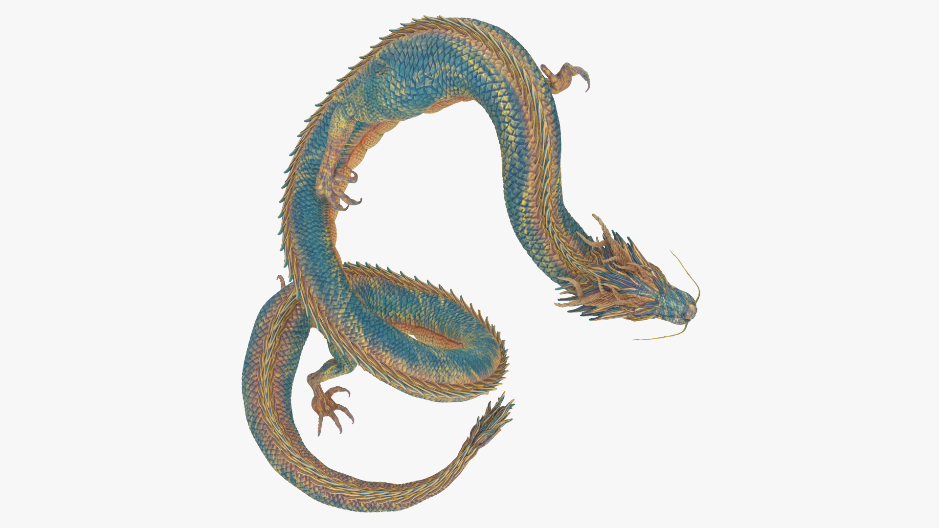 3D Chinese Fantasy Dragon Blue Angry model