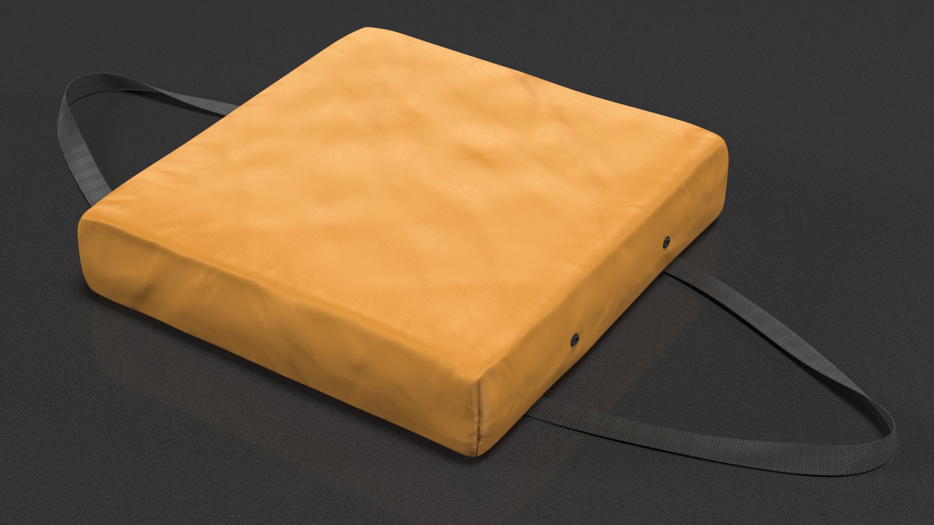 Type IV Boat Throwable Flotation Device 3D model