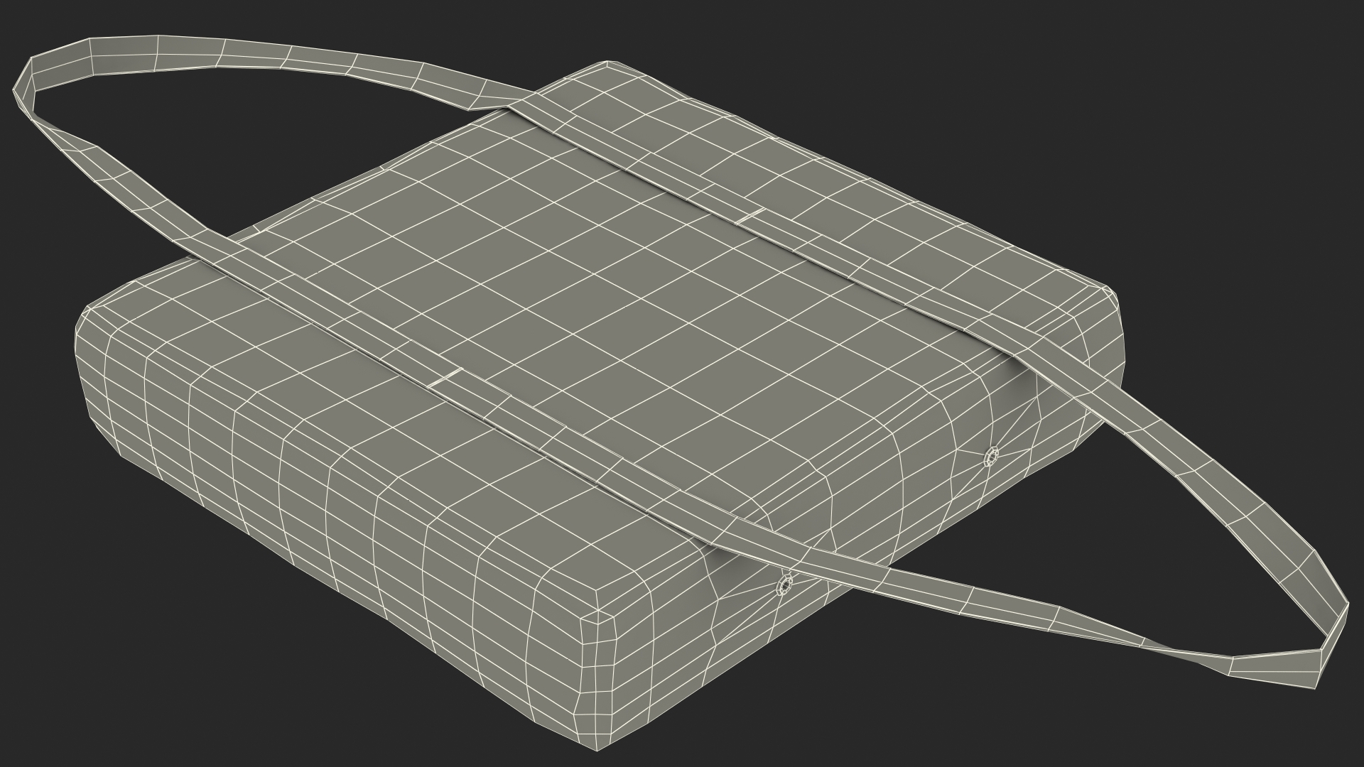 Type IV Boat Throwable Flotation Device 3D model