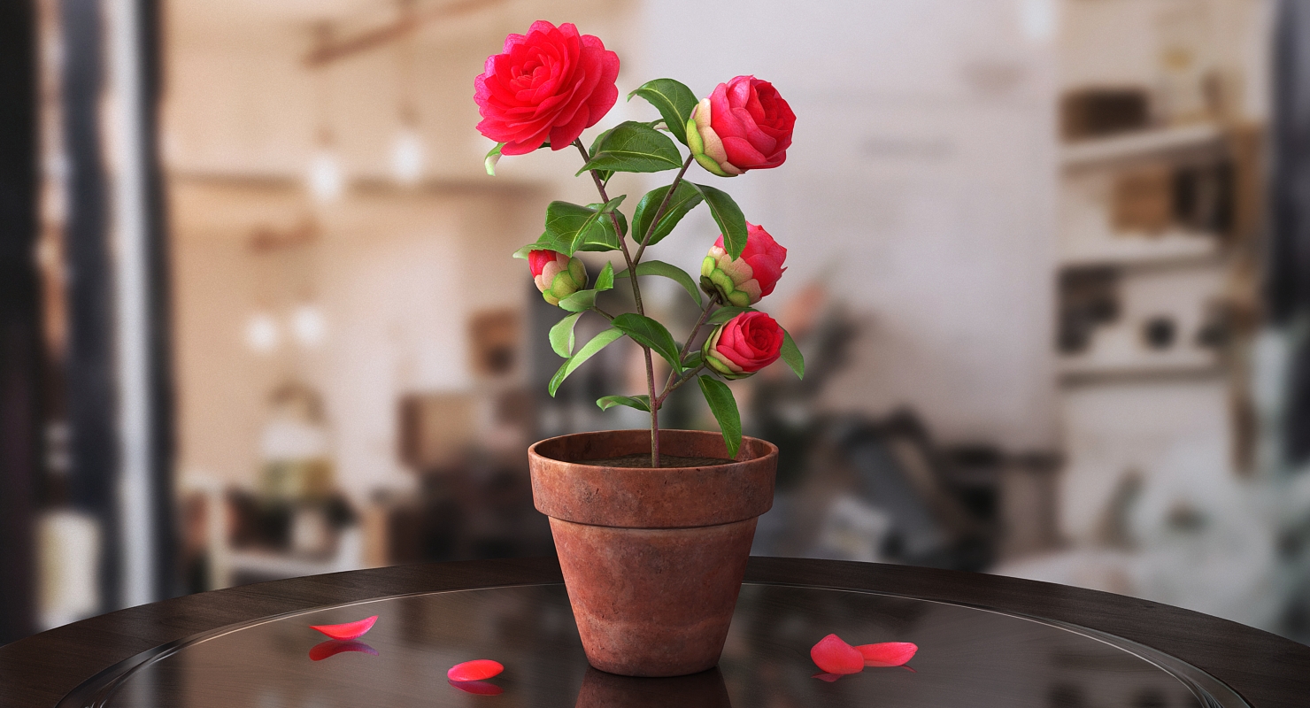 3D Bud Blossom Evolution