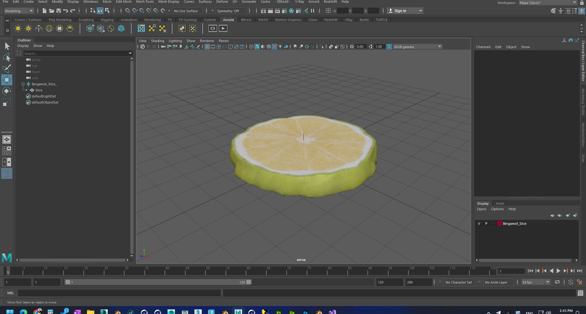 Bergamot Slice 3D model