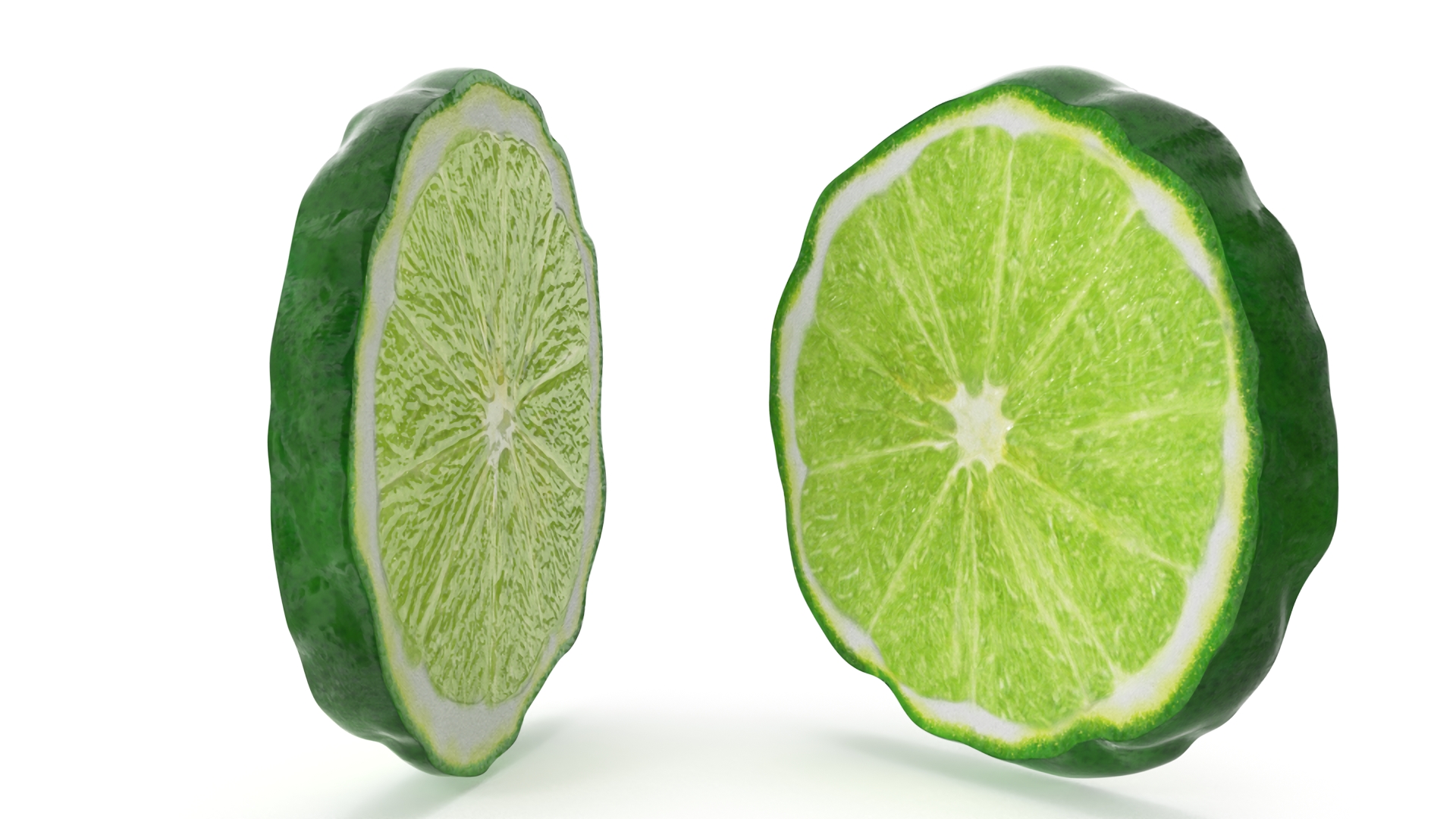 Bergamot Slice 3D model