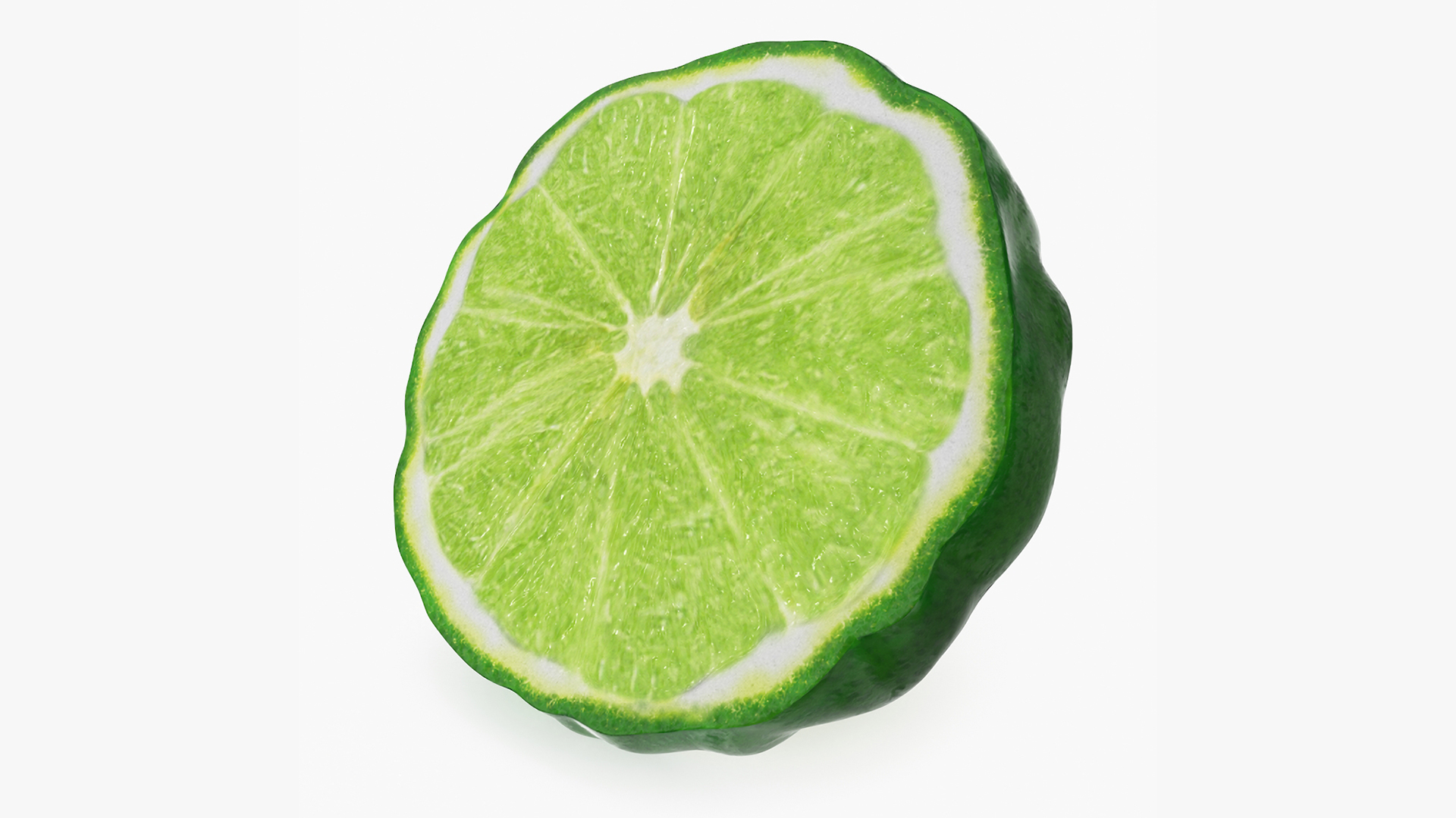 Bergamot Slice 3D model