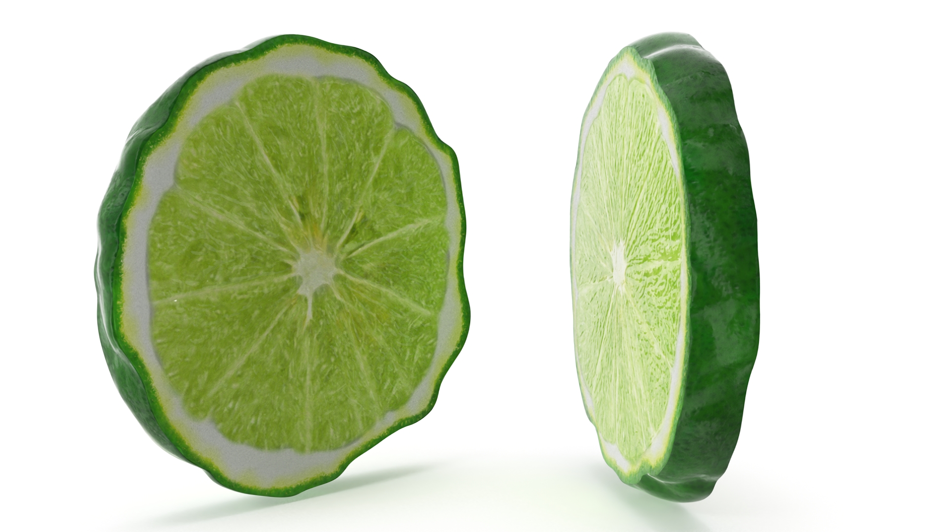 Bergamot Slice 3D model