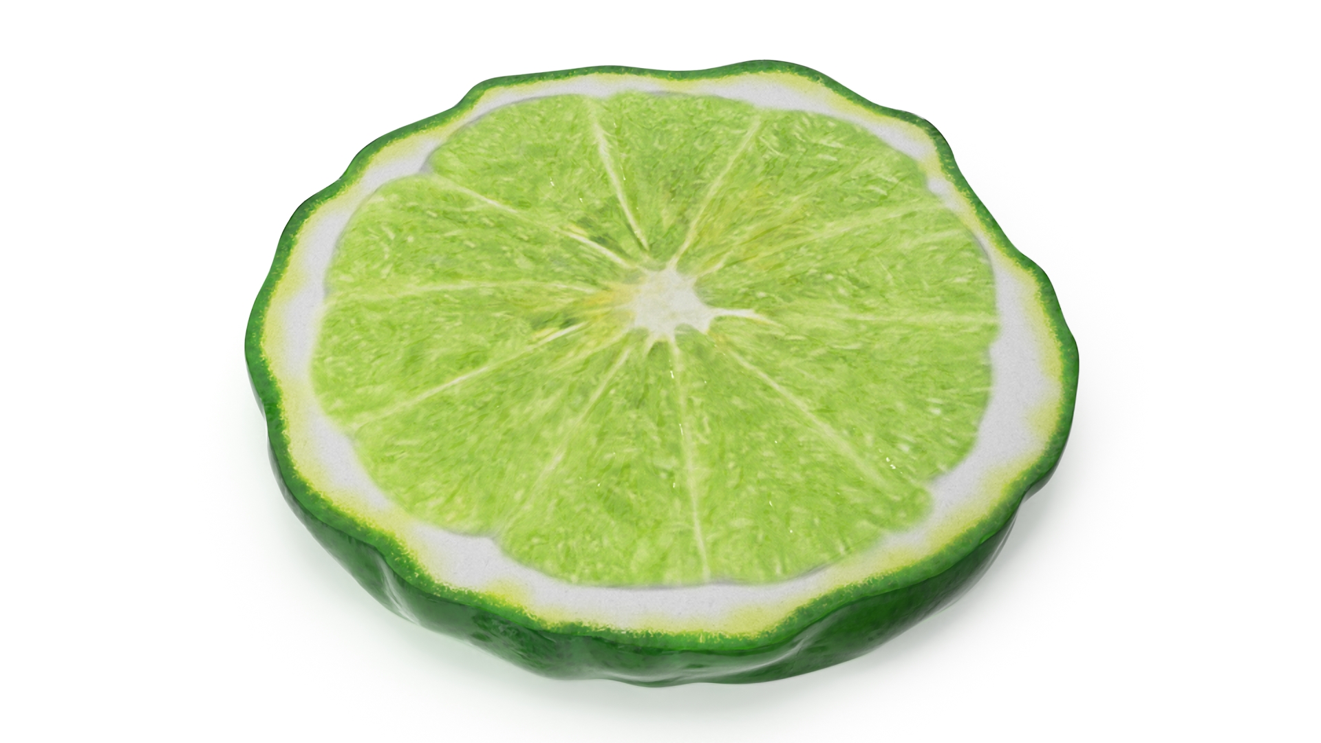 Bergamot Slice 3D model