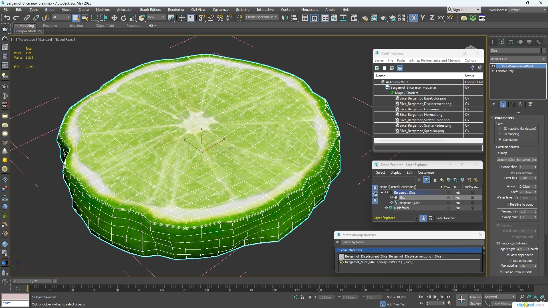 Bergamot Slice 3D model
