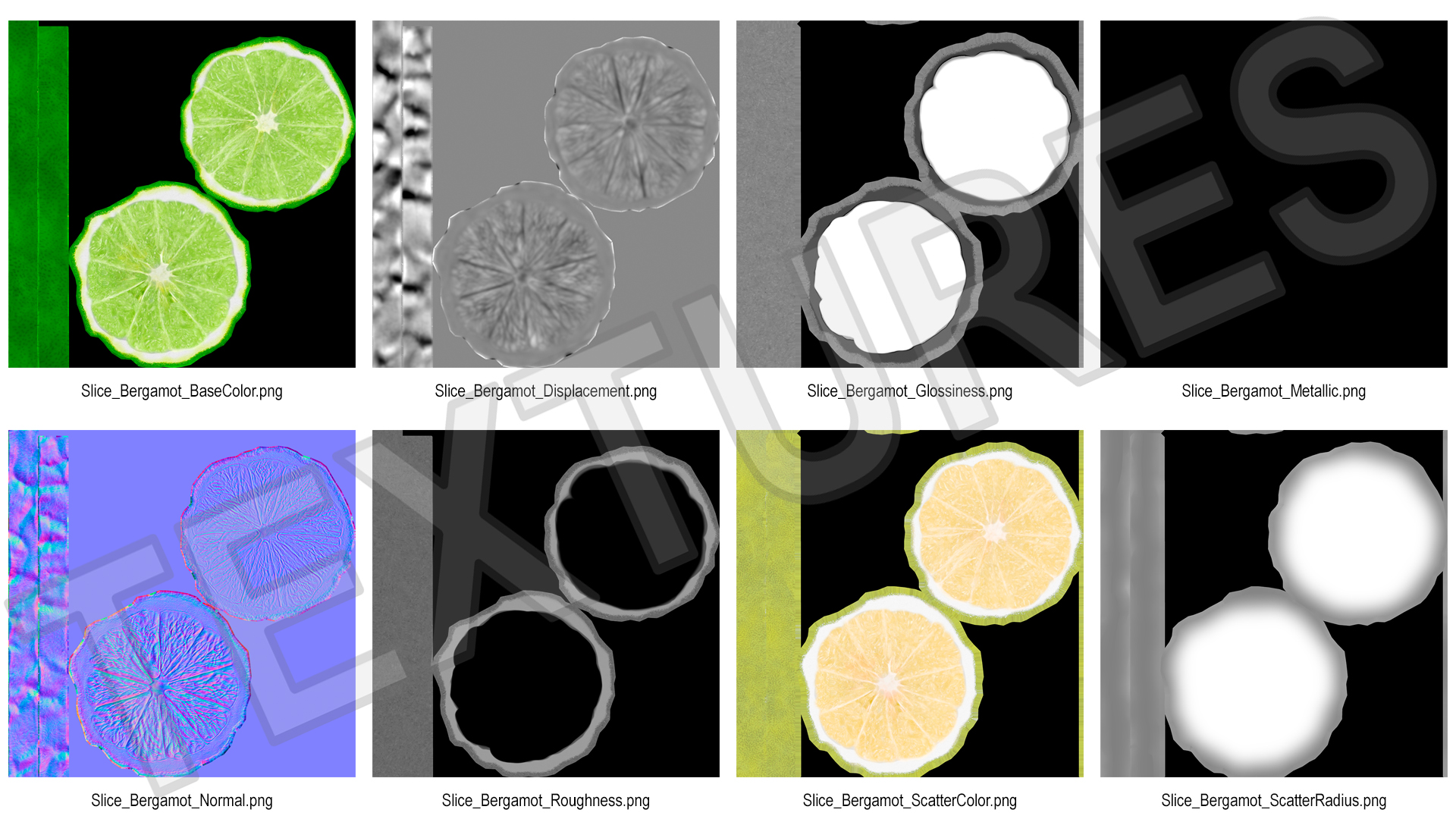 Bergamot Slice 3D model