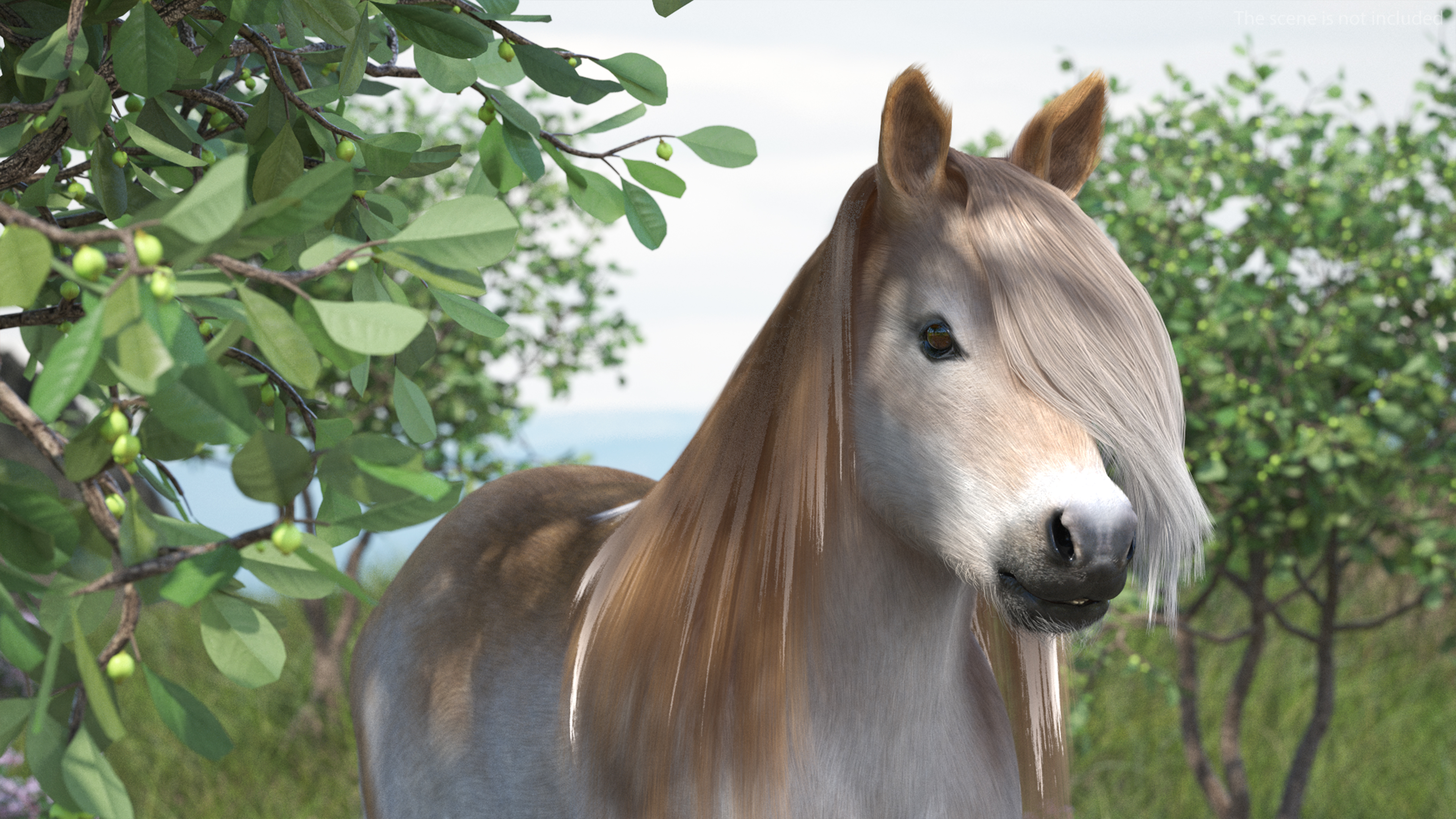 Shetland Pony with Long Mane Fur 3D