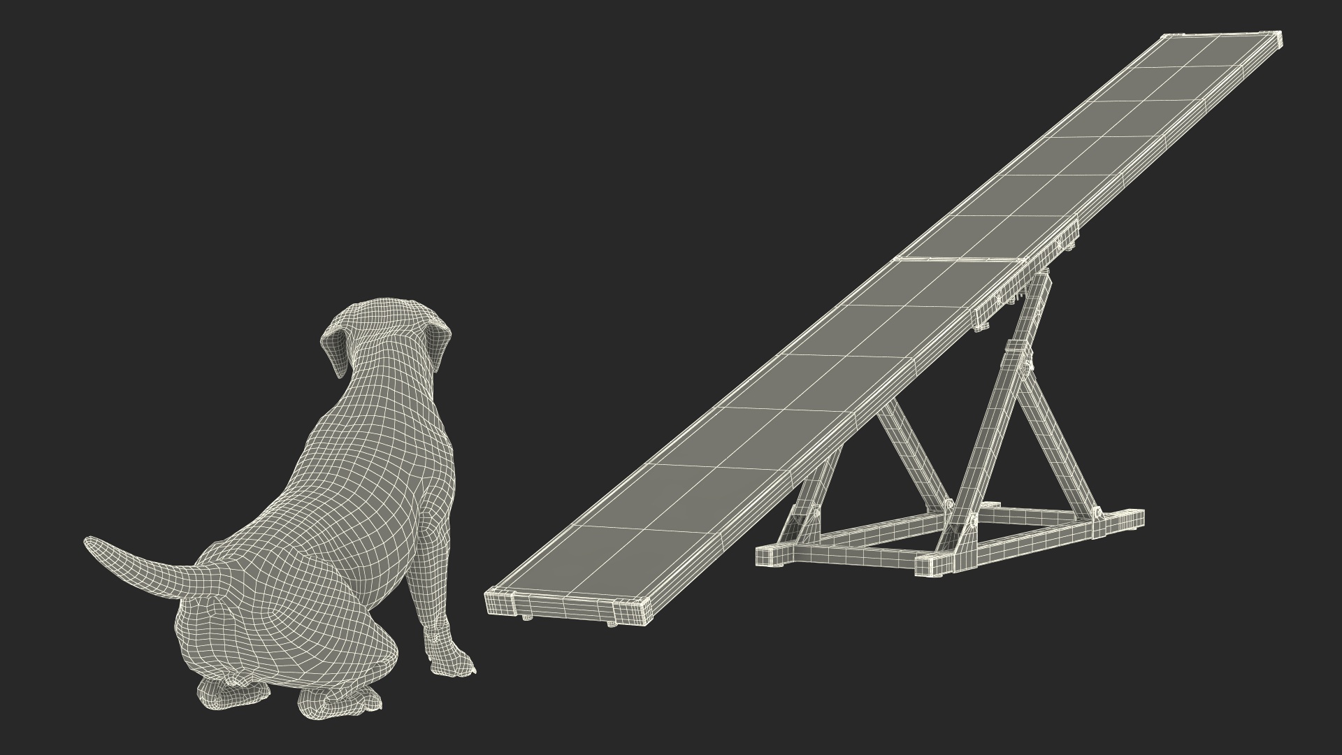 3D Dog Agility Teeter Totter and Labrador model
