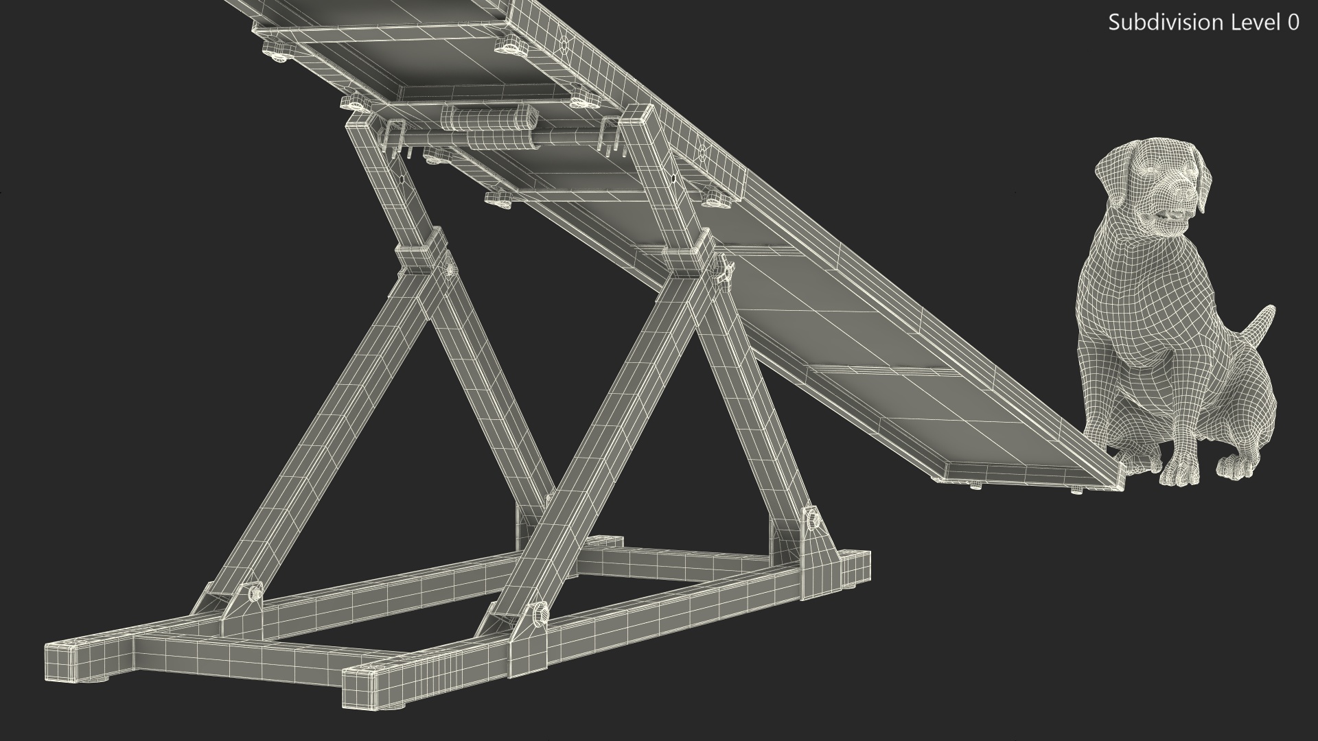 3D Dog Agility Teeter Totter and Labrador model