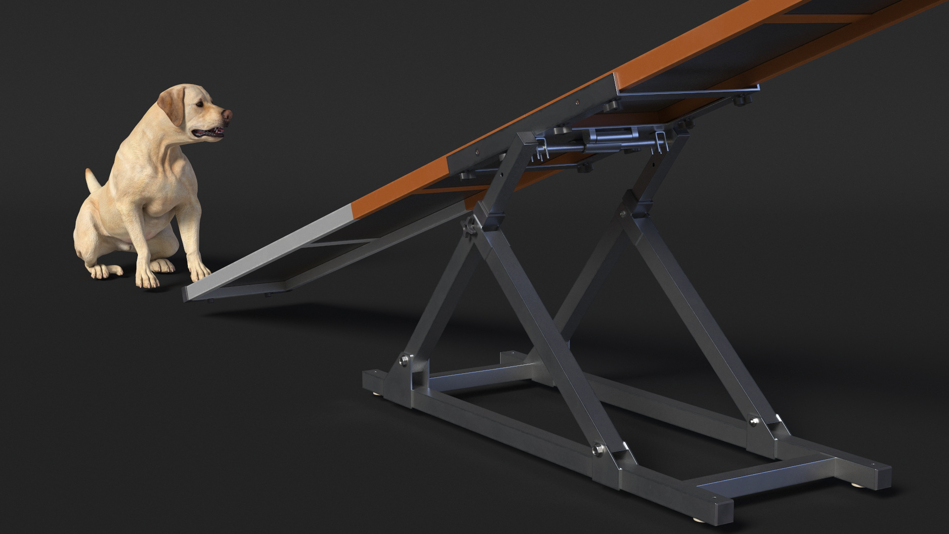3D Dog Agility Teeter Totter and Labrador model
