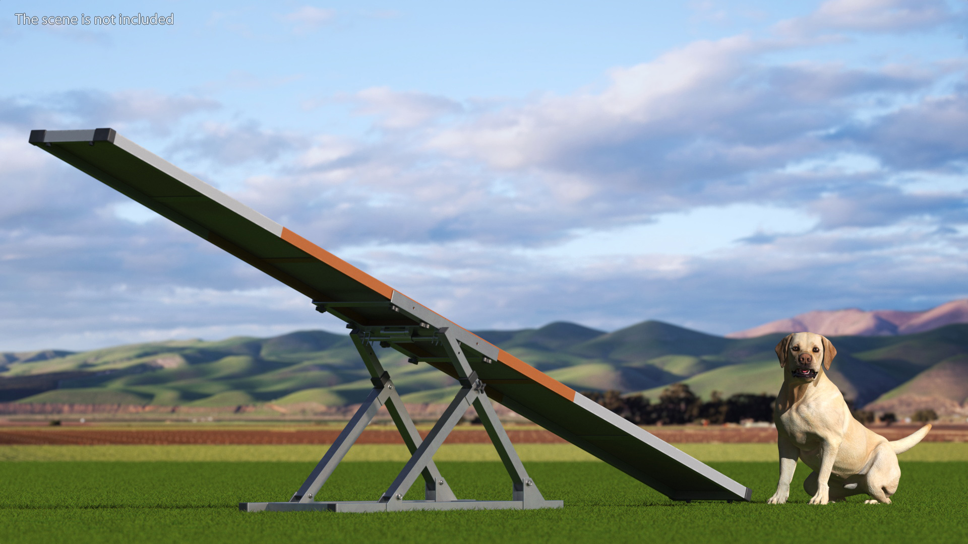 3D Dog Agility Teeter Totter and Labrador model