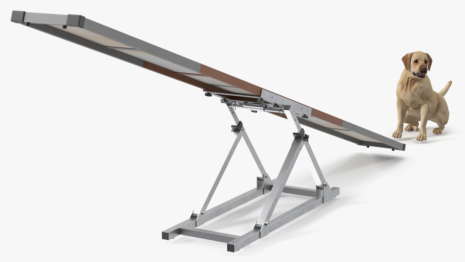 3D Dog Agility Teeter Totter and Labrador model
