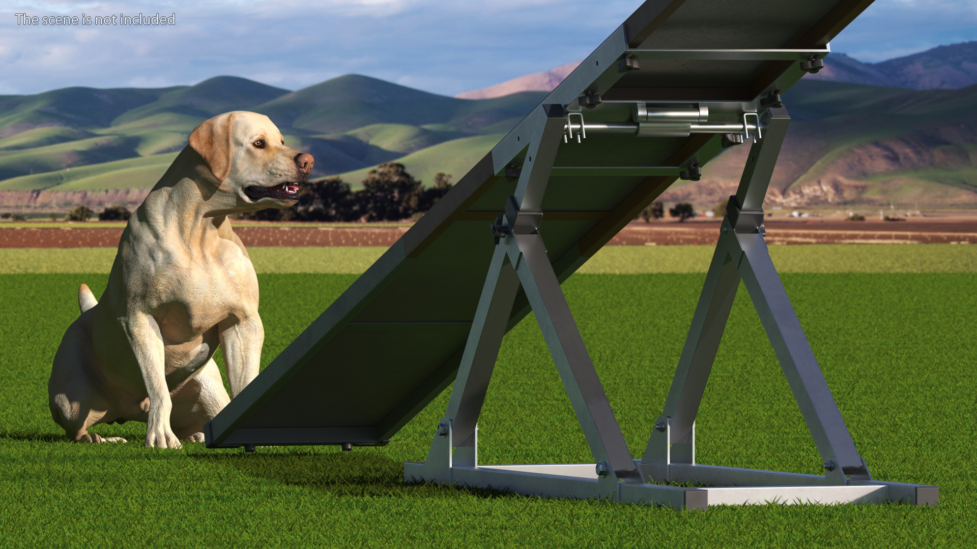 3D Dog Agility Teeter Totter and Labrador model