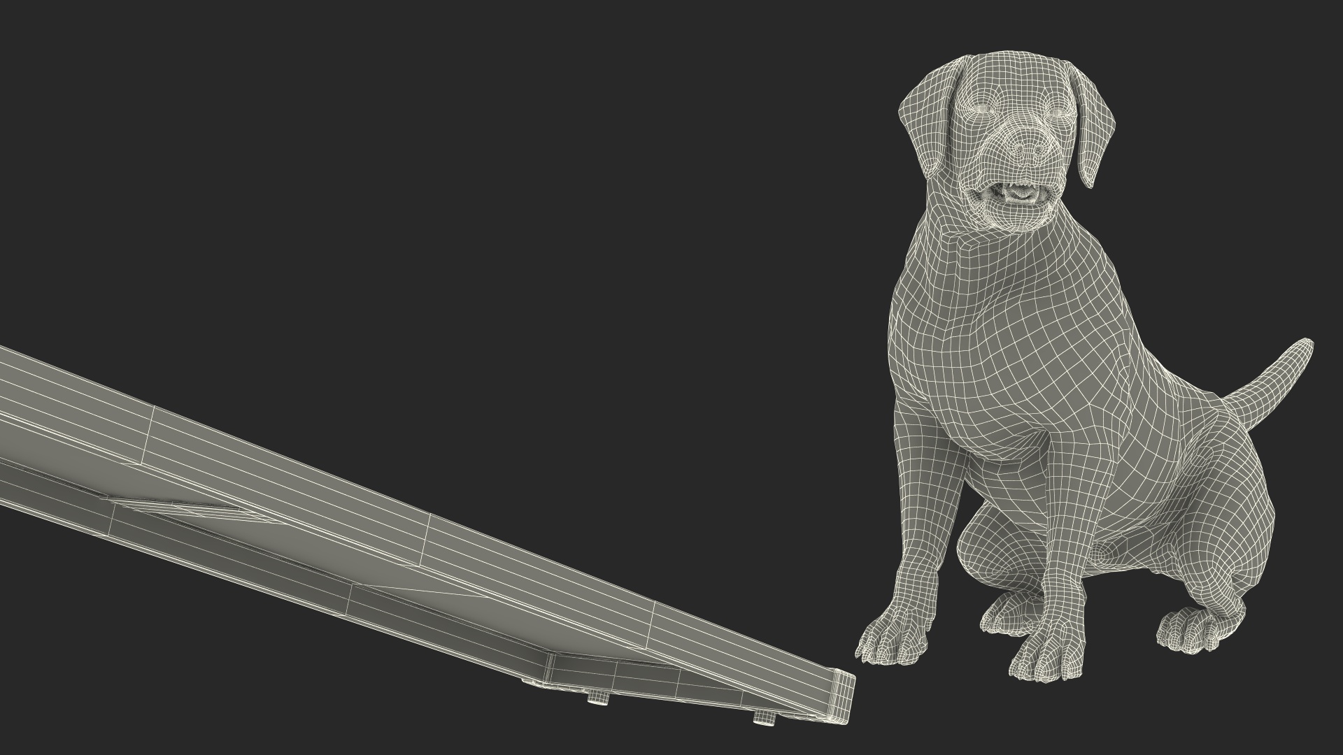 3D Dog Agility Teeter Totter and Labrador model