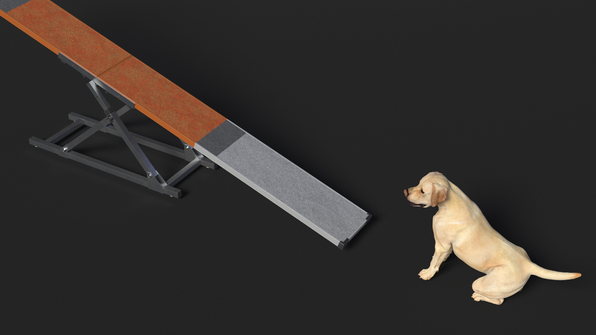 3D Dog Agility Teeter Totter and Labrador model