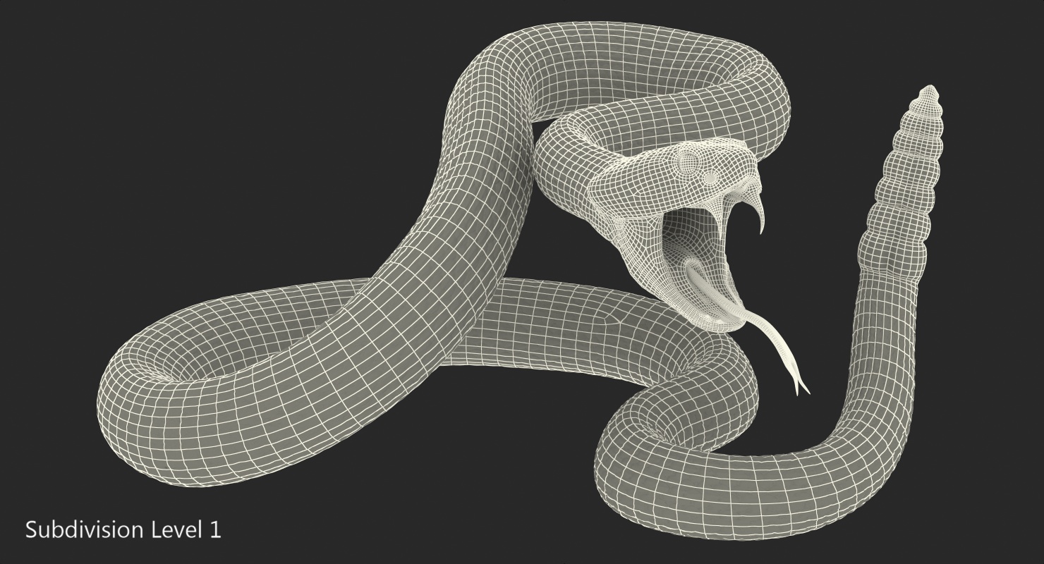 Light Rattlesnake Attack Pose 3D model
