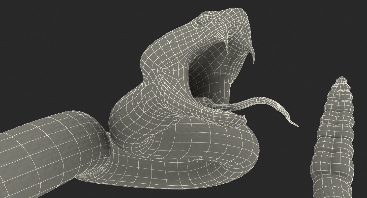 Light Rattlesnake Attack Pose 3D model