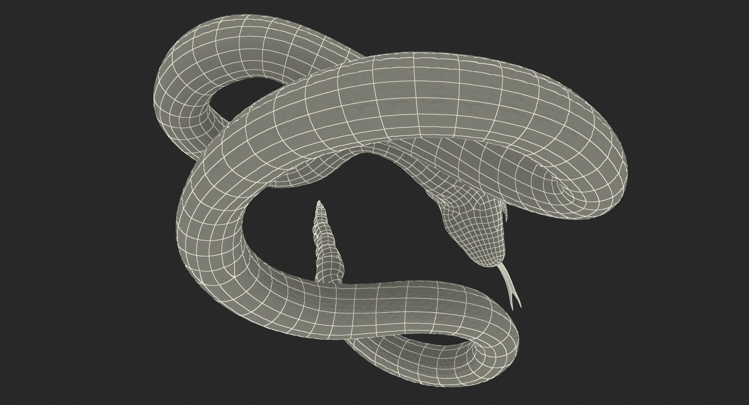 Light Rattlesnake Attack Pose 3D model