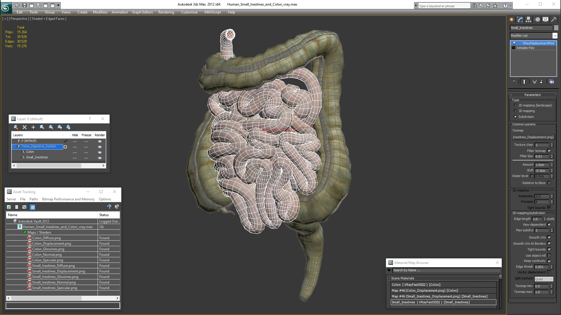 3D Human Small Inestines and Colon