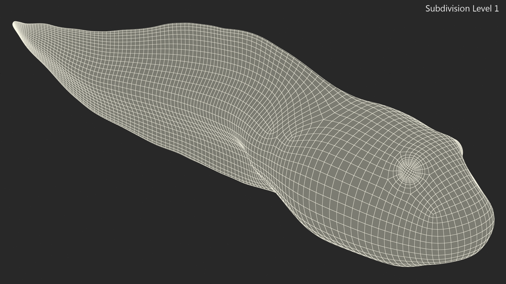 Tadpole Rigged 3D model