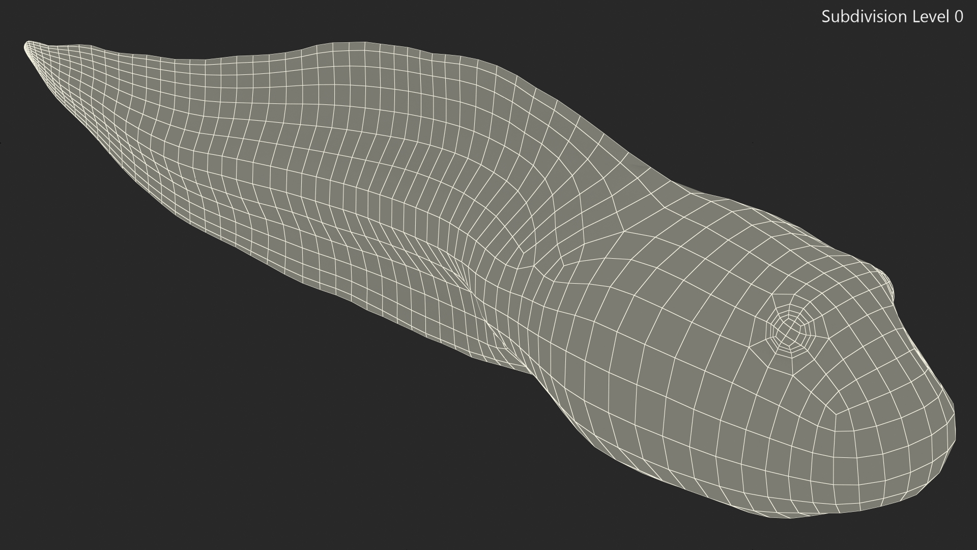 Tadpole Rigged 3D model