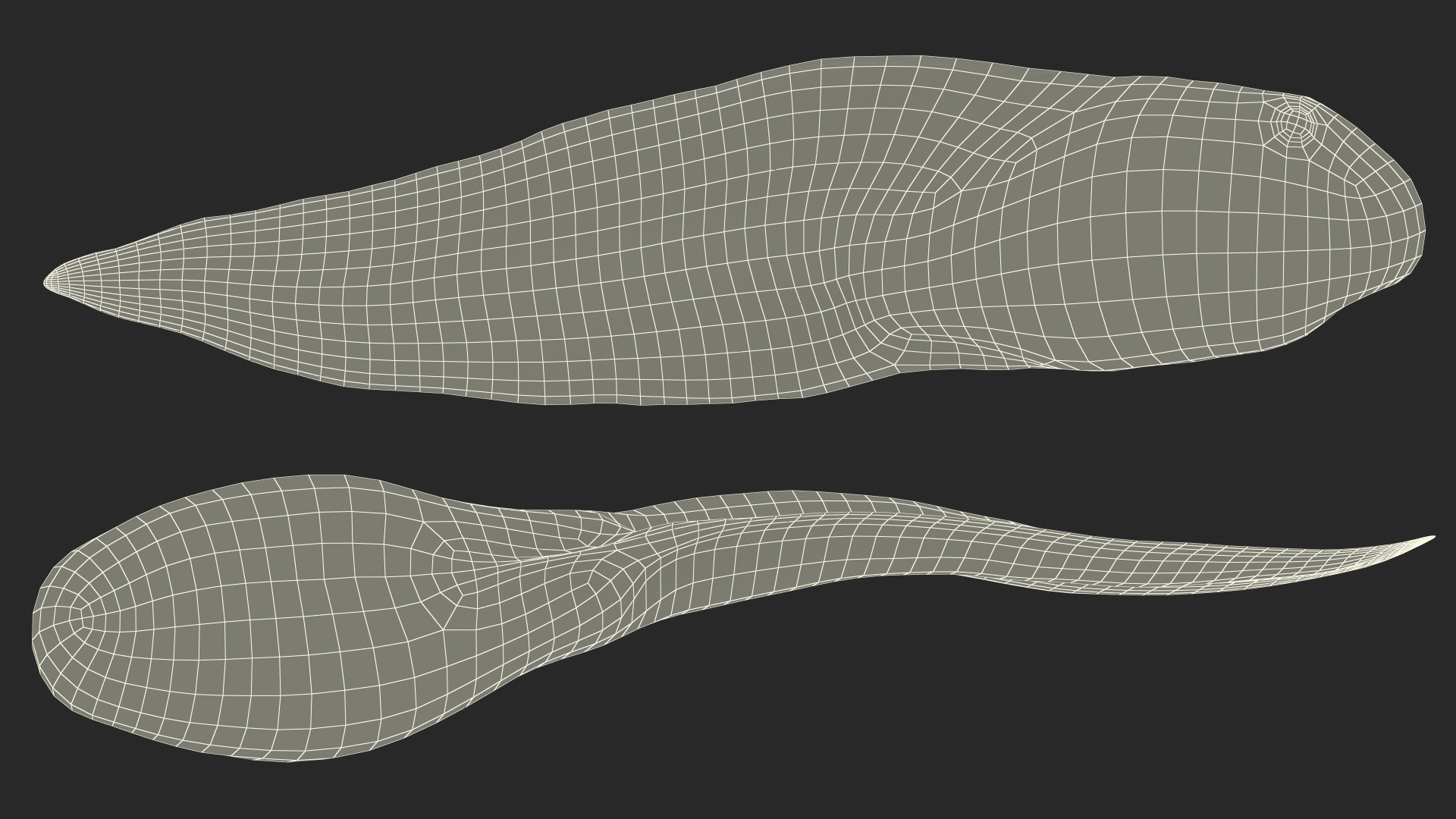 Tadpole Rigged 3D model