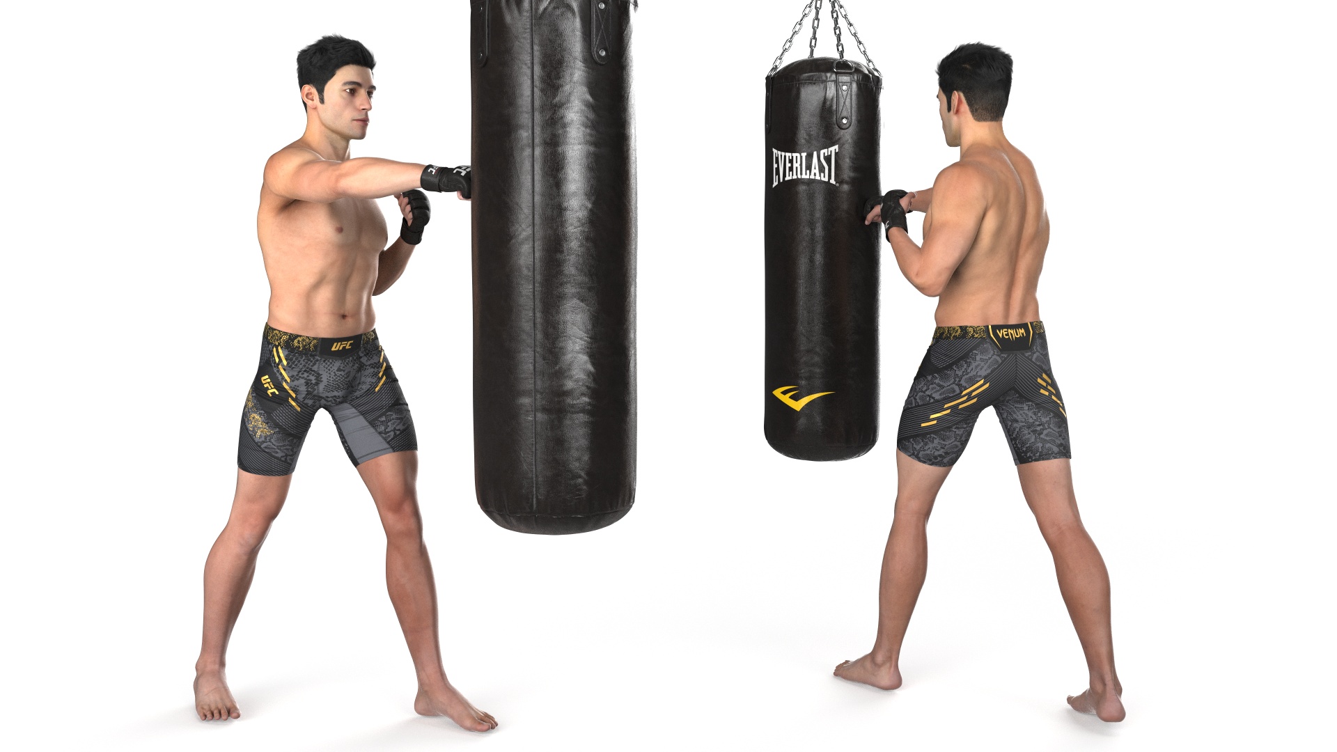 3D model UFC MMA Fighter Training with Everlast Punching Bag Fur