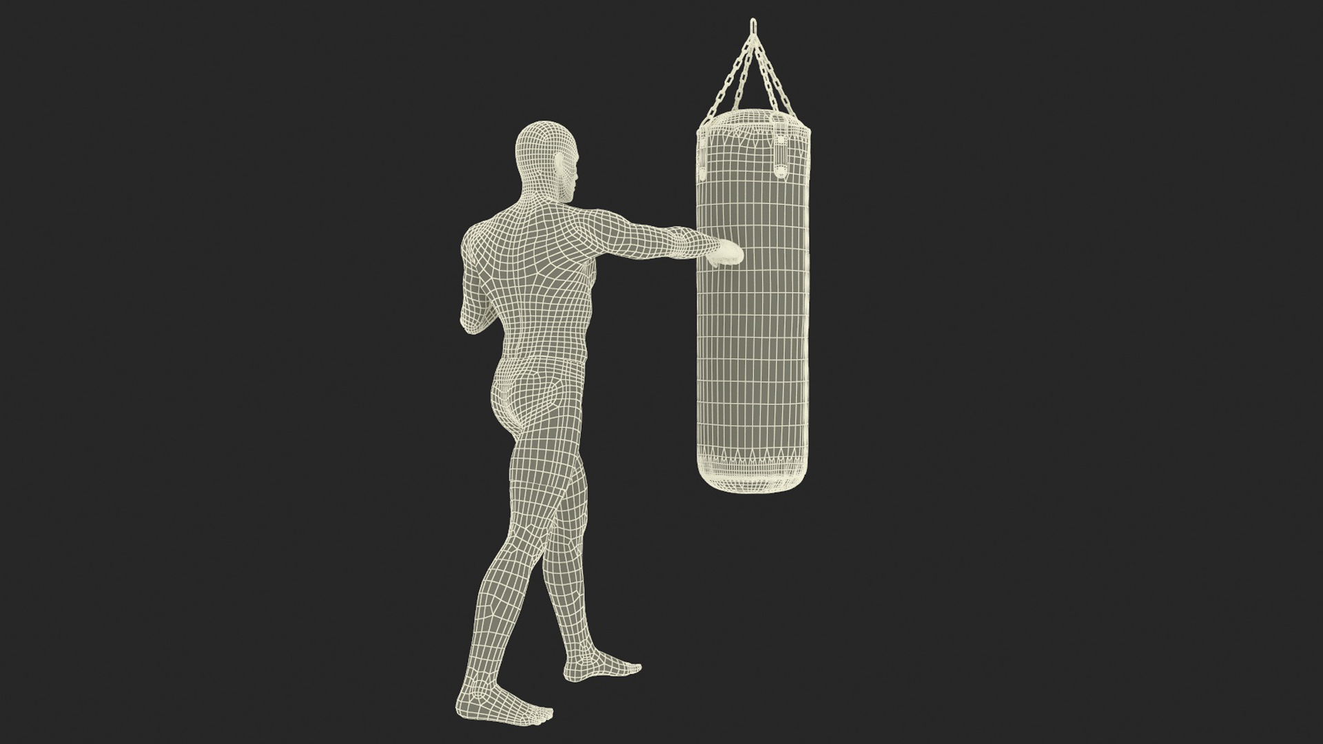 3D model UFC MMA Fighter Training with Everlast Punching Bag Fur