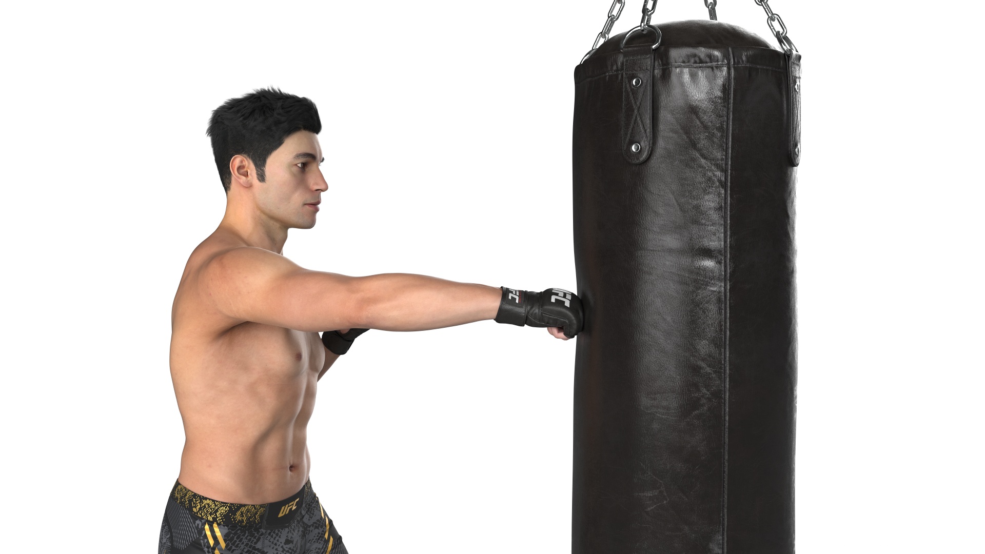 3D model UFC MMA Fighter Training with Everlast Punching Bag Fur