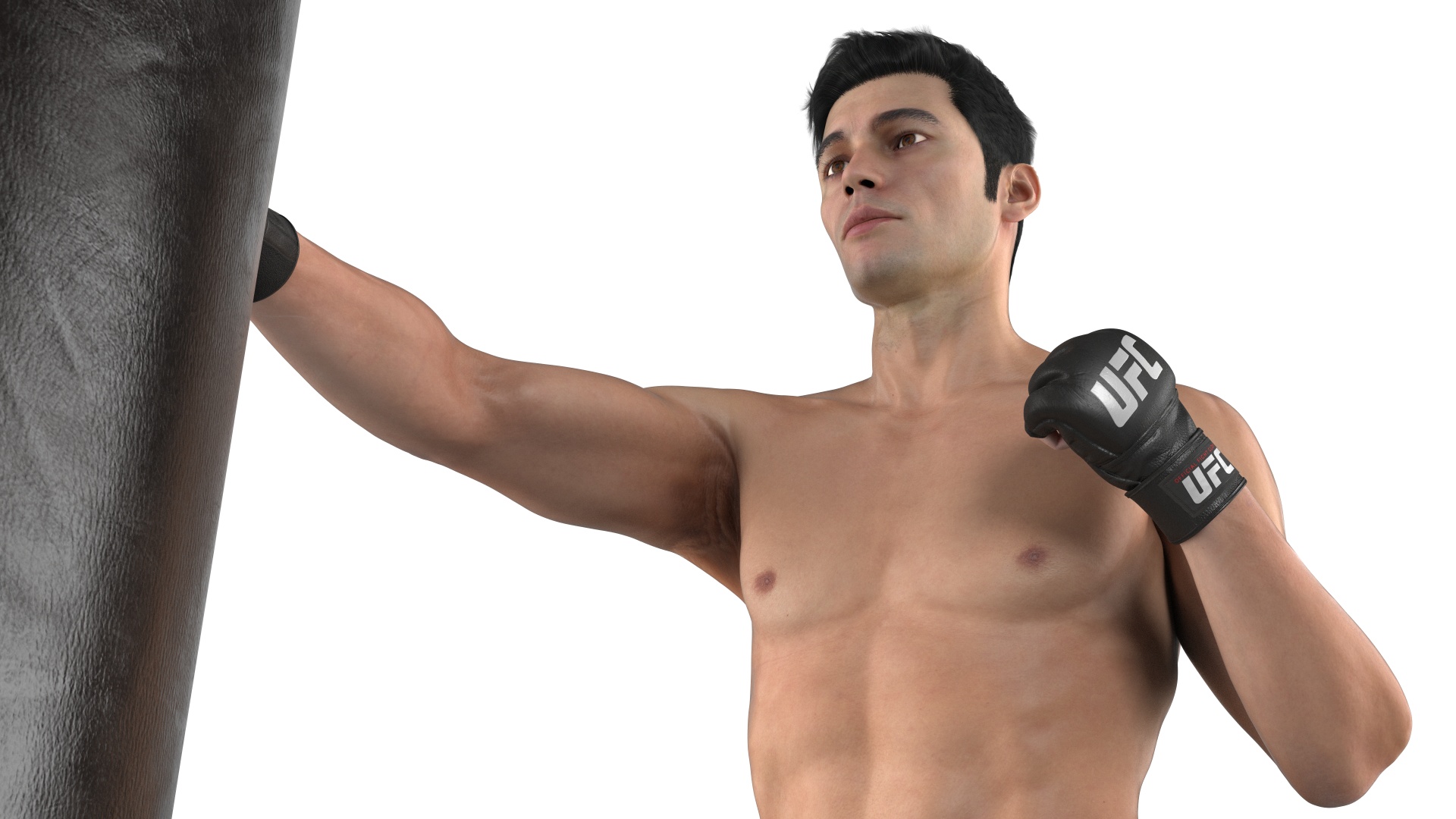 3D model UFC MMA Fighter Training with Everlast Punching Bag Fur