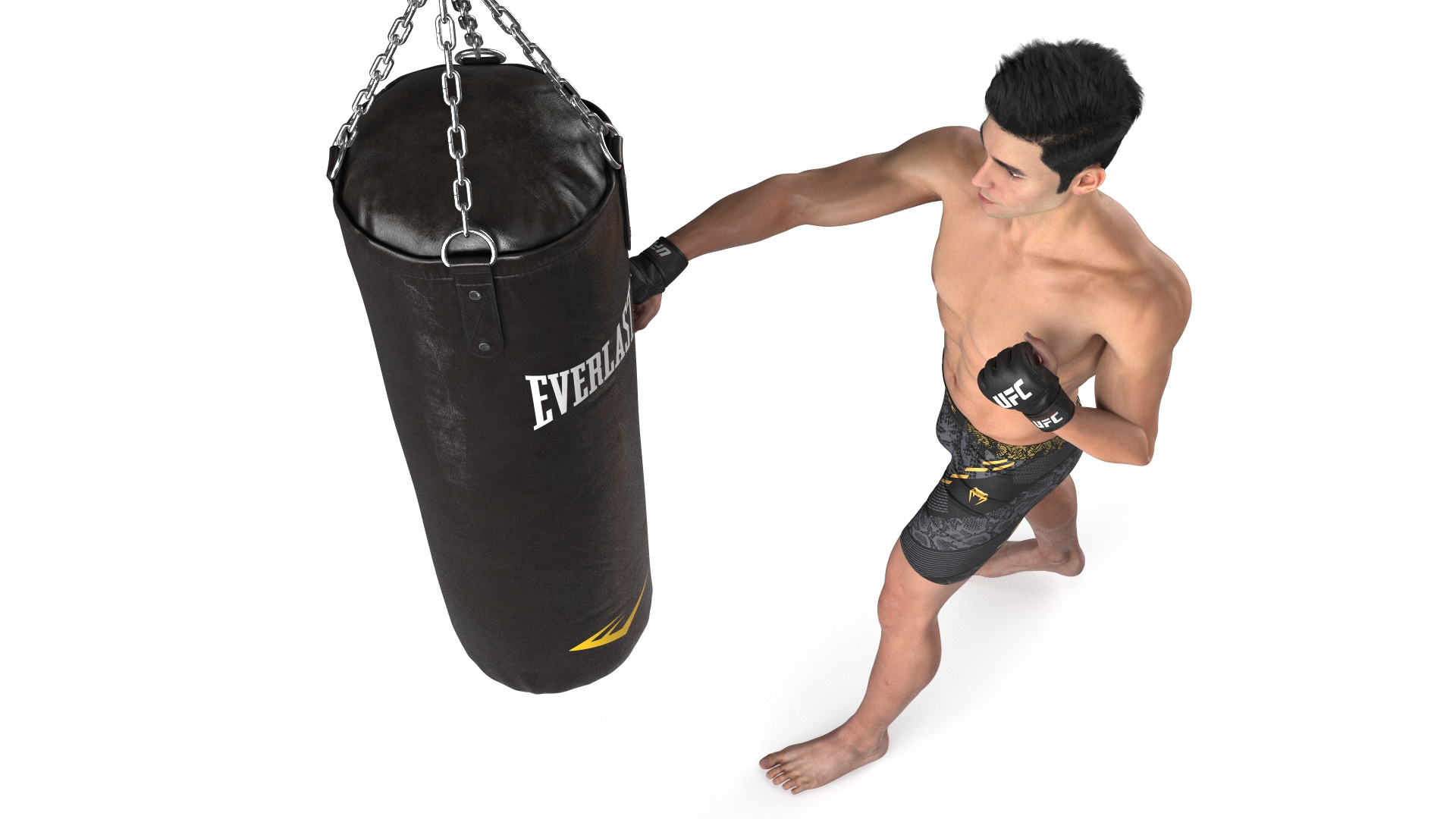 3D model UFC MMA Fighter Training with Everlast Punching Bag Fur