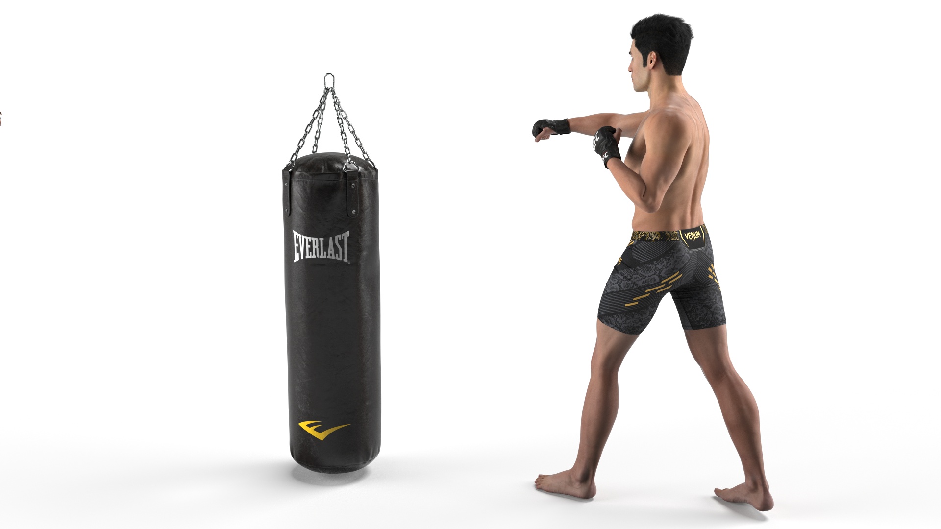 3D model UFC MMA Fighter Training with Everlast Punching Bag Fur