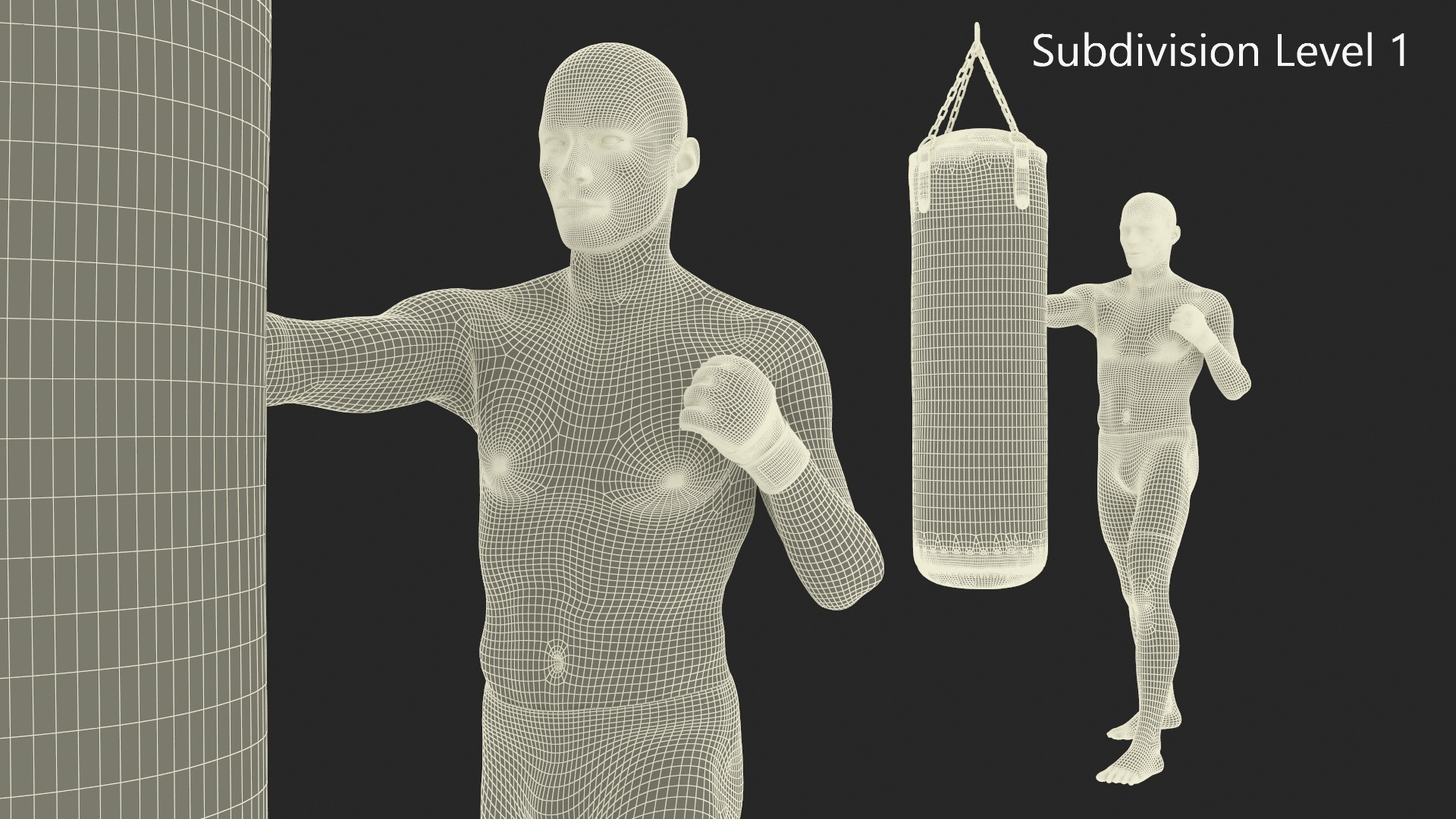 3D model UFC MMA Fighter Training with Everlast Punching Bag Fur
