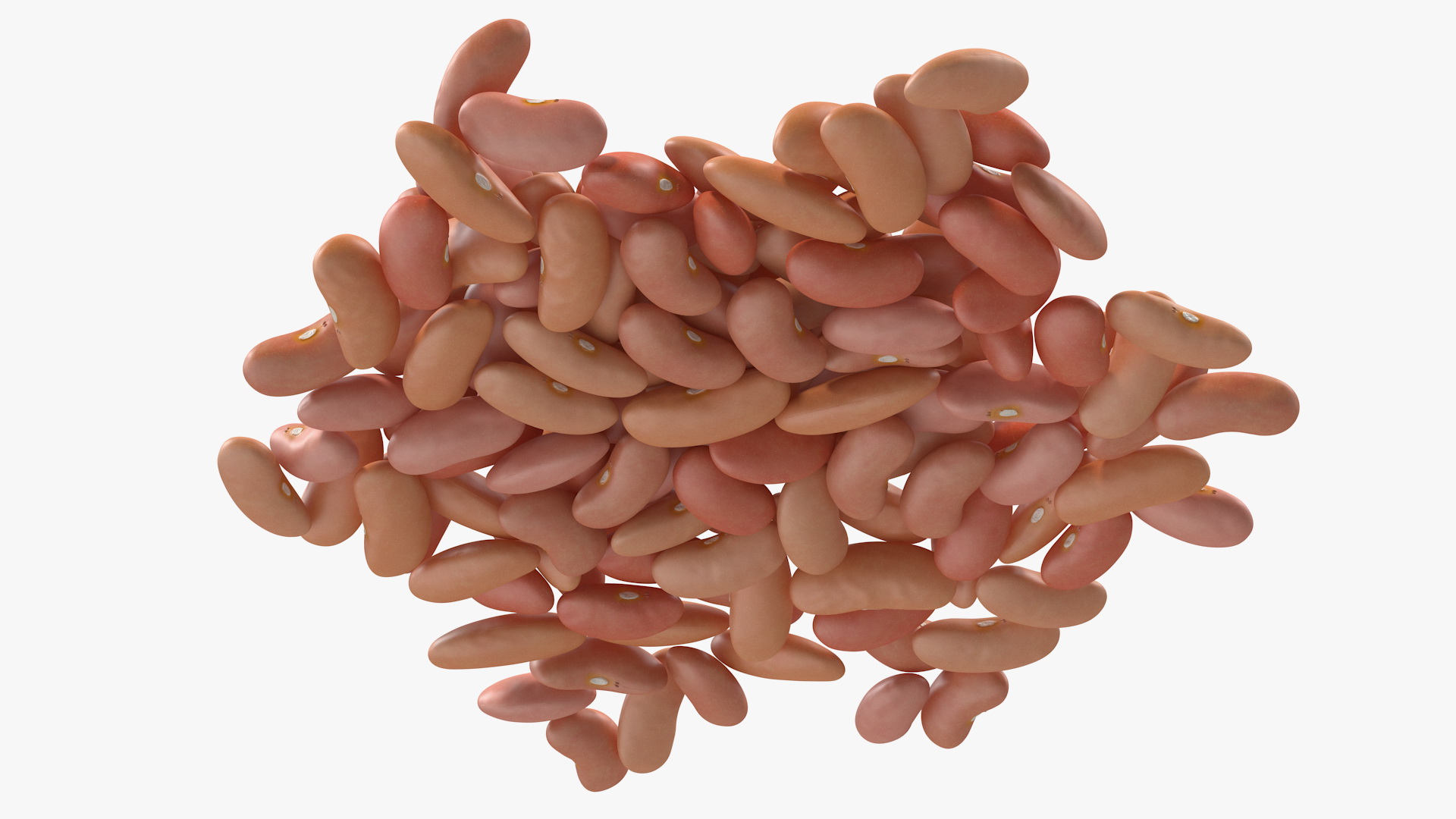 3D model Pile of Light Red Kidney Beans
