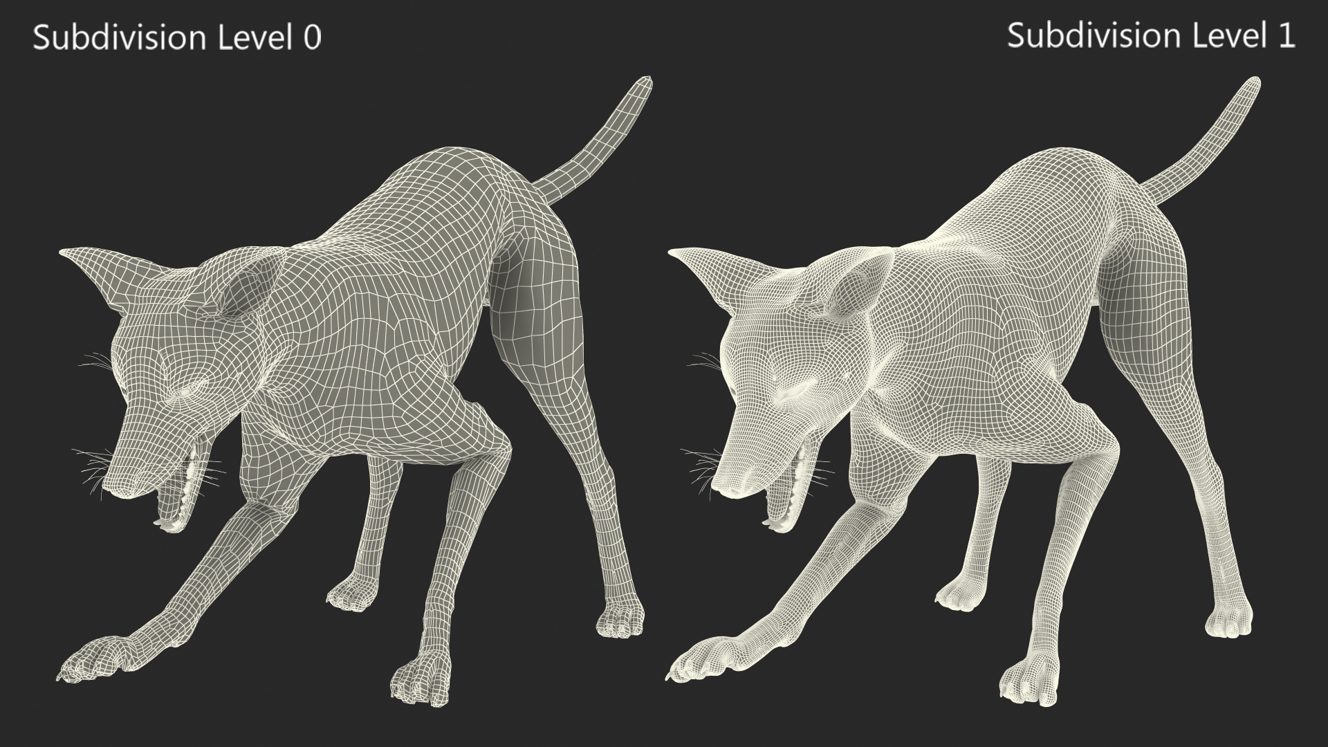 3D Maned Wolf Eating Pose Fur