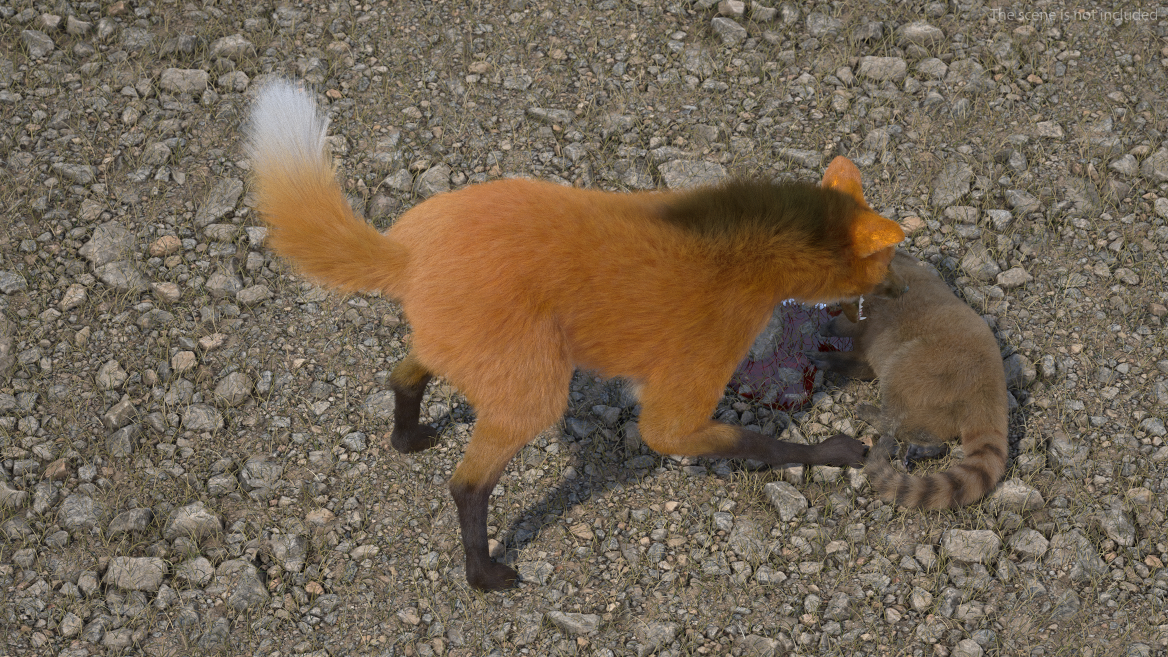 3D Maned Wolf Eating Pose Fur