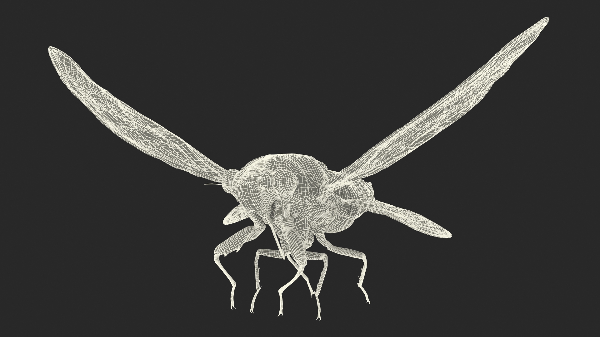 Cicada Pose Takeoff 3D model