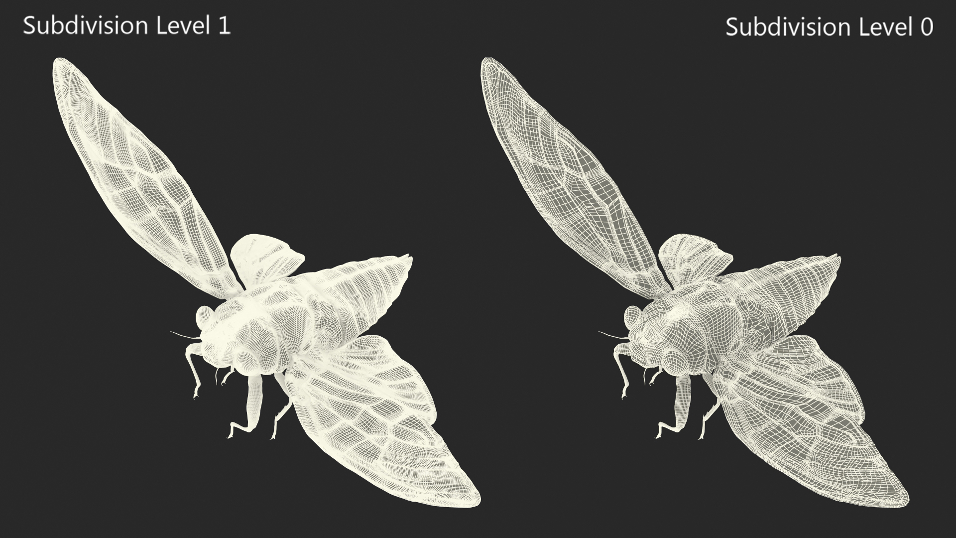 Cicada Pose Takeoff 3D model