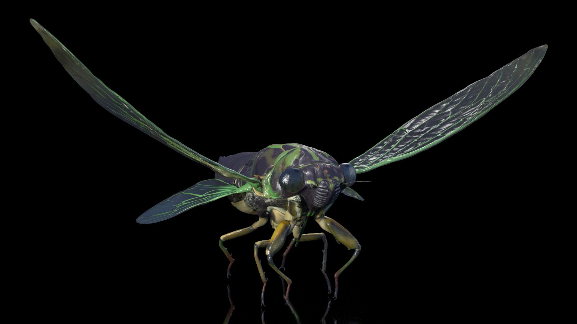 Cicada Pose Takeoff 3D model
