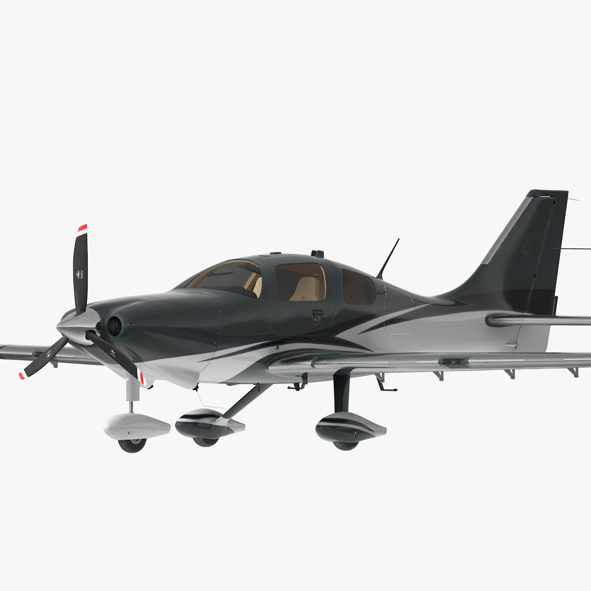 4 Seater Private Plane, view 5