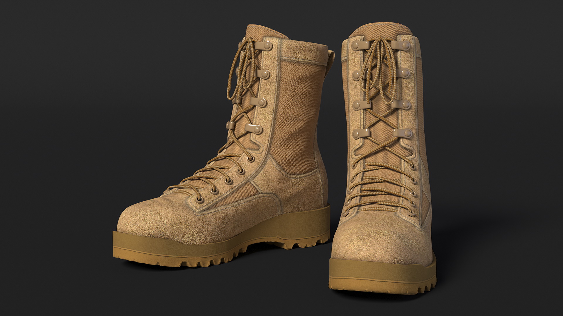 Tactical Gear Boots 3D model