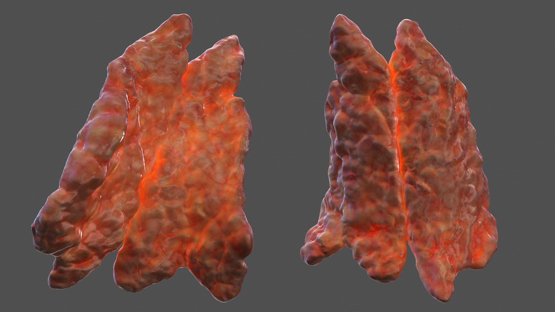 Human Heart and Thymus 3D