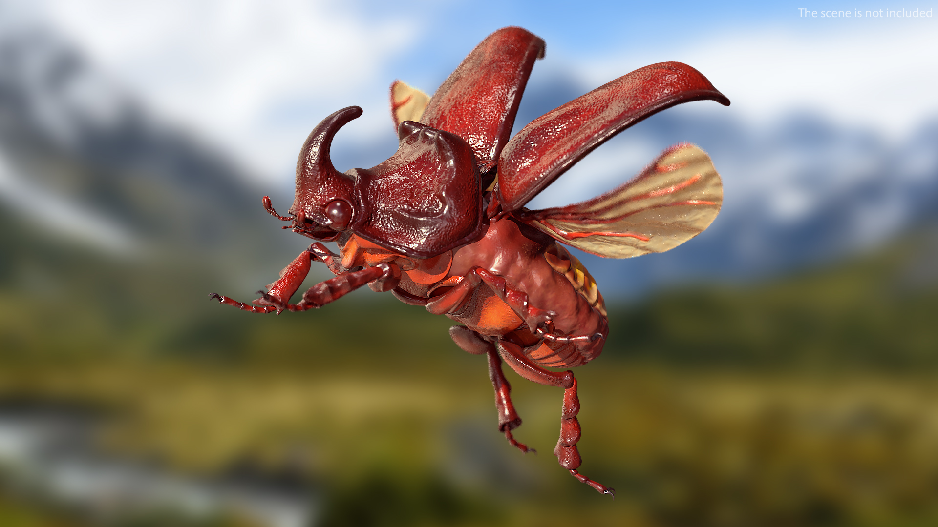 3D Rhinoceros Beetle Oryctes Nasicornis Rigged model