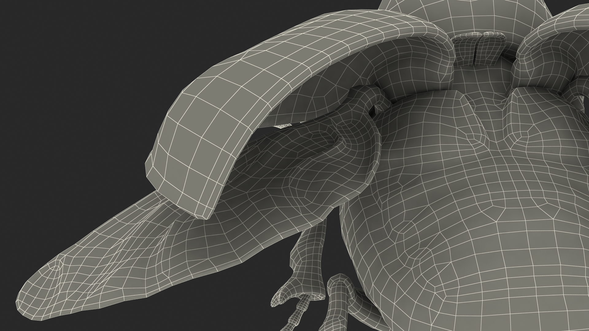3D Rhinoceros Beetle Oryctes Nasicornis Rigged model