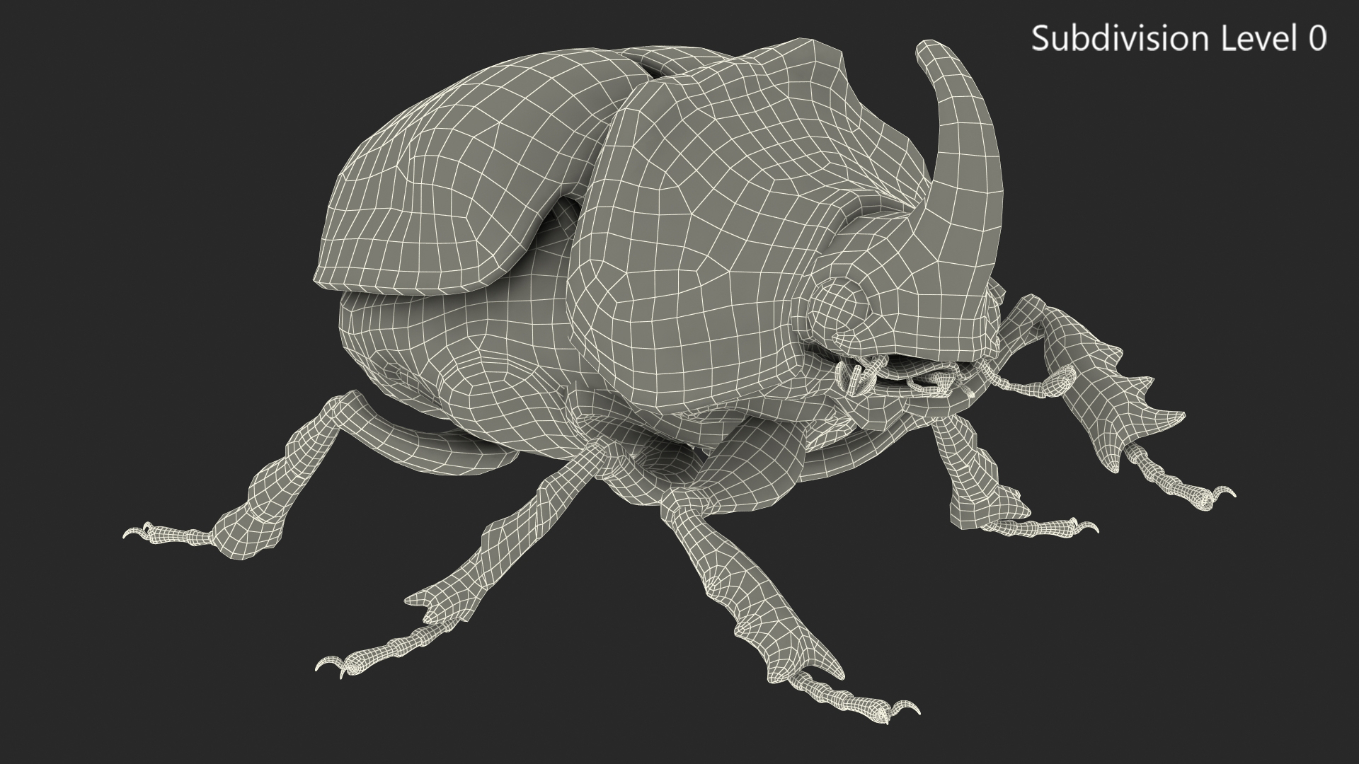 3D Rhinoceros Beetle Oryctes Nasicornis Rigged model