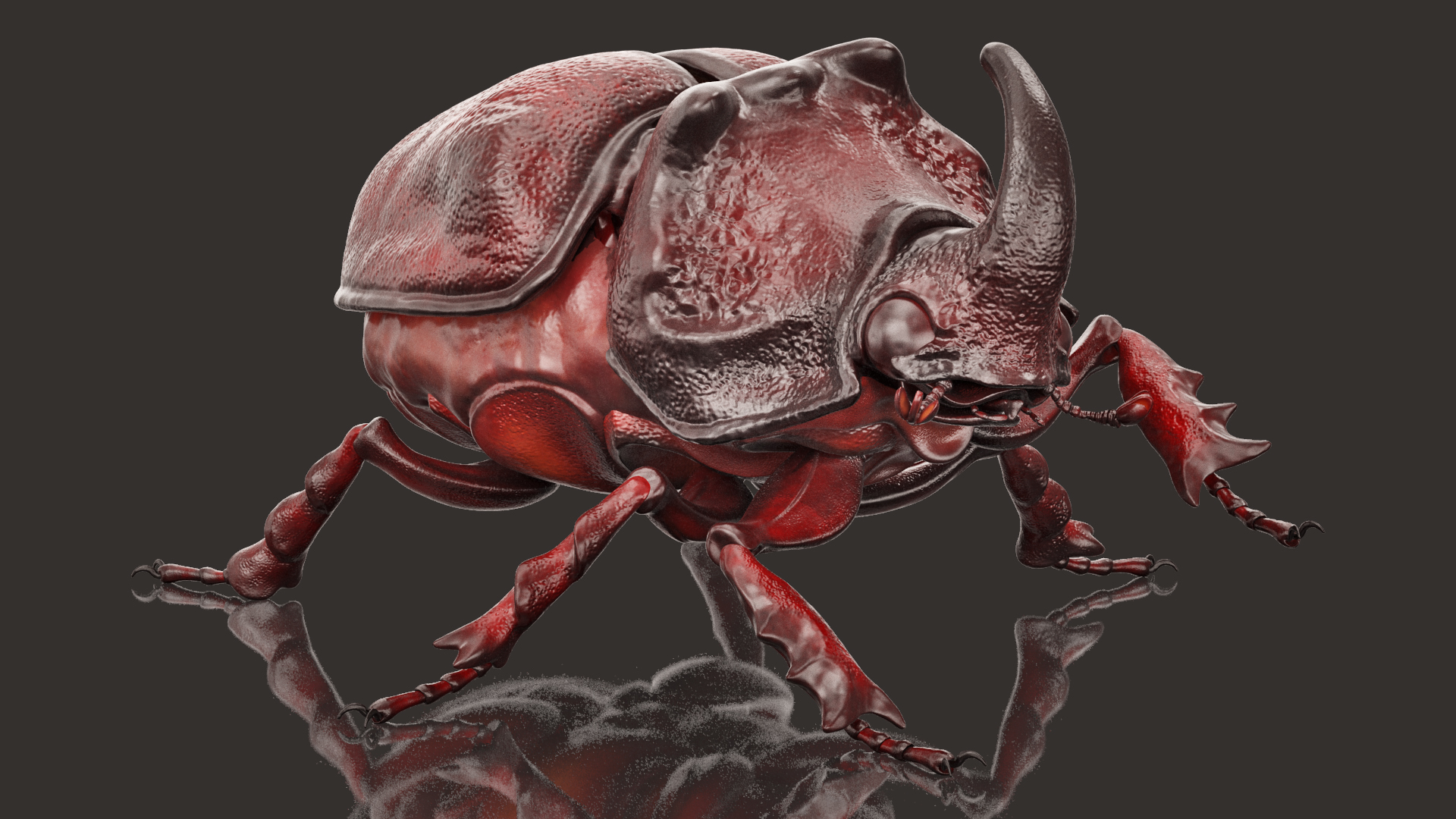 3D Rhinoceros Beetle Oryctes Nasicornis Rigged model