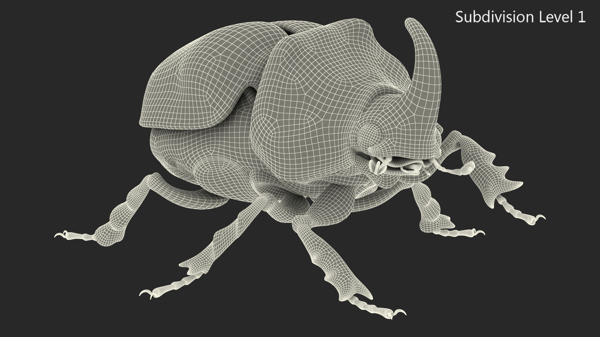 3D Rhinoceros Beetle Oryctes Nasicornis Rigged model